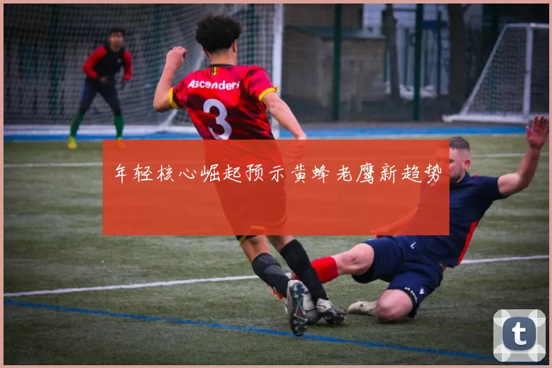 年轻核心崛起预示黄蜂老鹰新趋势