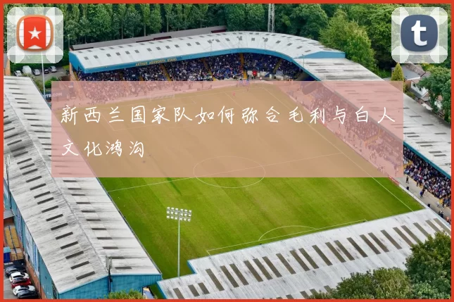 新西兰国家队如何弥合毛利与白人文化鸿沟